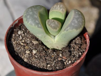 Tytuły przy małych zdjęciach tylko w kat. 4